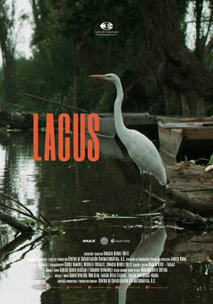 Постер: Lacus