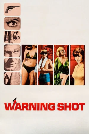 Постер: Warning Shot