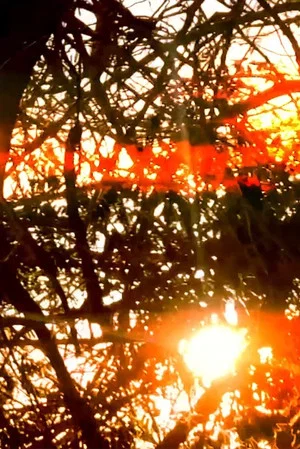 Постер: Little flashes of sun