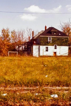 Постер: Detroit Transect: Spine
