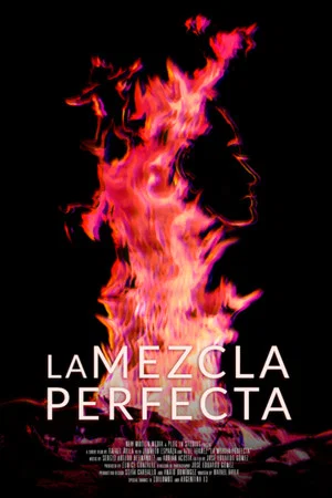 Постер: La mezcla perfecta
