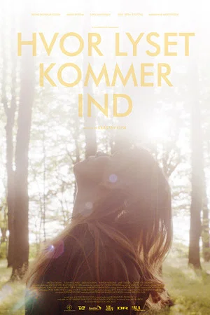 Постер: Hvor lyset kommer ind