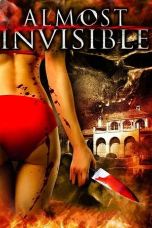 Постер: Almost Invisible
