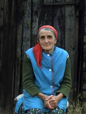 Постер: Wolters Trude