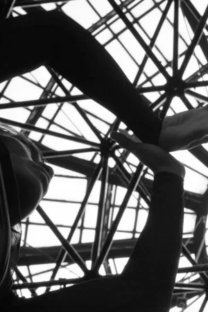 Постер: Movement in Structure