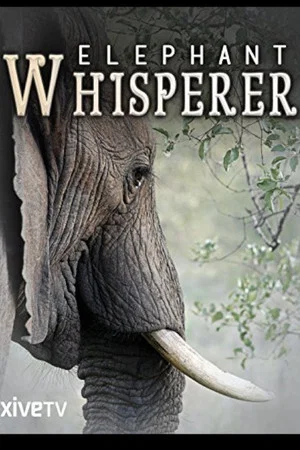 Постер: Elephant Whisperer