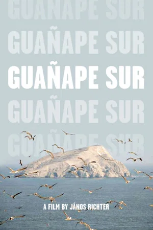 Постер: Guañape sur