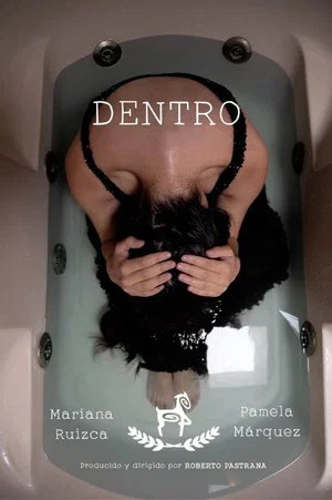 Постер: Dentro