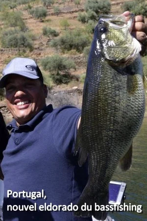 Постер: Portugal, nouvel eldorado du bassfishing