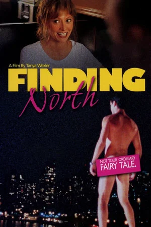Постер: Finding North