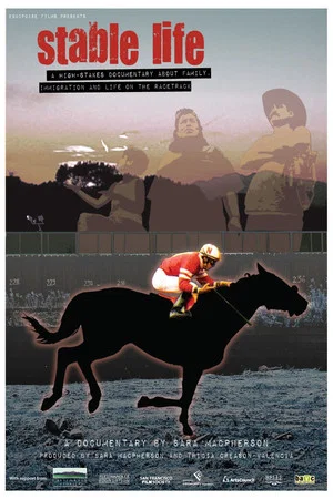 Постер: Stable Life