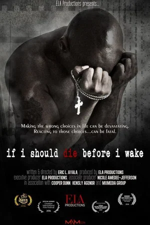 Постер: If I Should Die Before I Wake