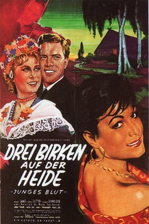 Постер: Drei Birken auf der Heide