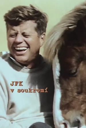 Постер: JFK: The Private President