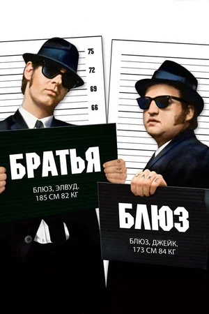 Постер: Братья Блюз