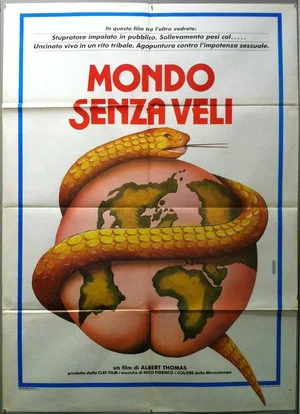 Постер: World Without Veils