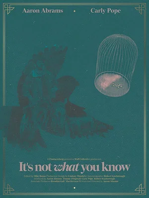 Постер: It's Not What You Know