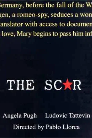 Постер: The scar