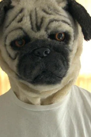 Постер: A Pug & Wolf Christmas