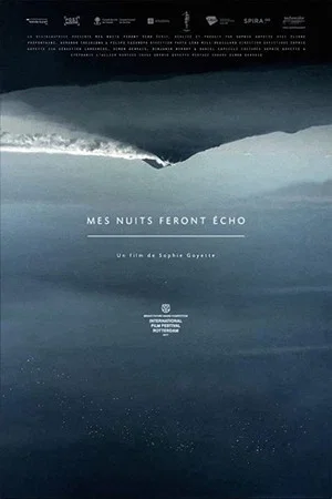 Постер: Still Night, Still Light