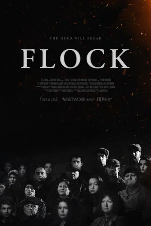Постер: Flock