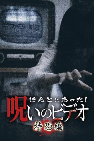 Постер: Honto Ni Atta! Noroi No Video: Special Edition
