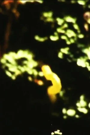 Постер: Caterpillar