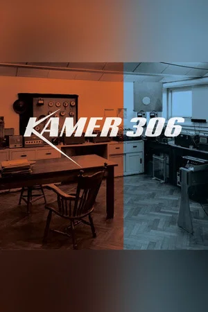 Постер: Room 306