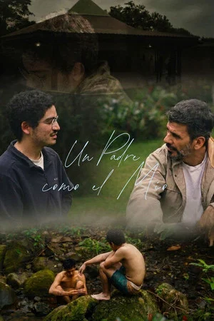 Постер: A father like mine