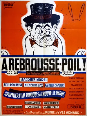 Постер: À rebrousse-poil