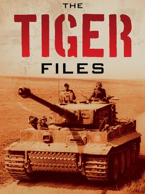 Постер: The Tiger Files