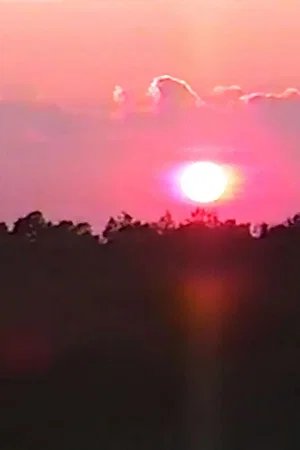 Постер: Daybreak