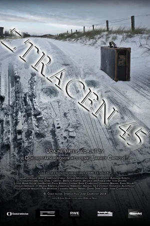 Постер: Ztracen 45