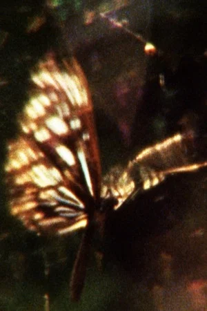 Постер: A Flea’s Skin Would Be Too Big For You