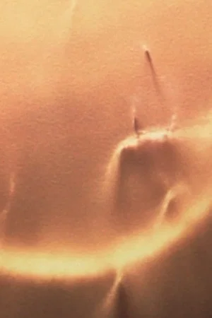 Постер: Light Licks: Only Sunshine