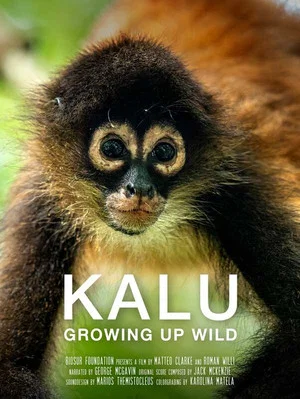 Постер: KALU: Growing Up Wild