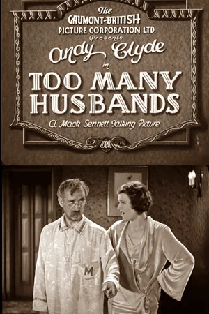 Постер: Too Many Husbands