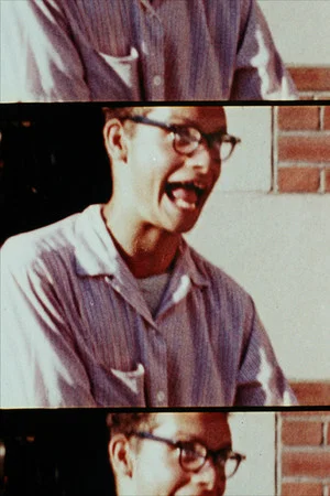 Постер: A Reel of Home Movies