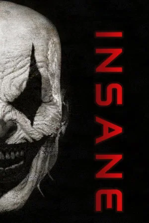 Постер: Insane
