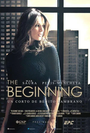 Постер: The Beginning