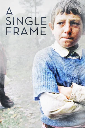 Постер: A Single Frame