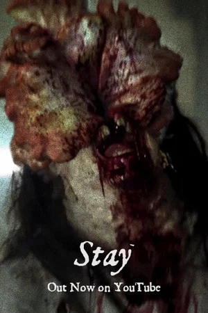 Постер: Stay