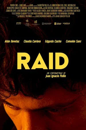 Постер: Raid