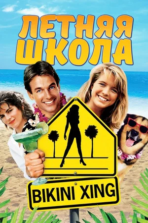 Постер: Летняя школа