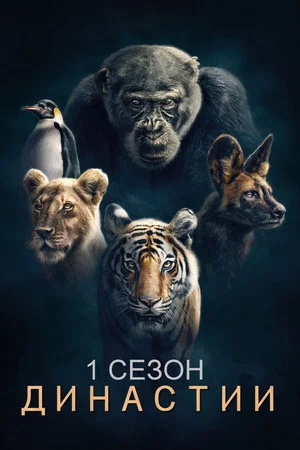 Постер: 1 сезон