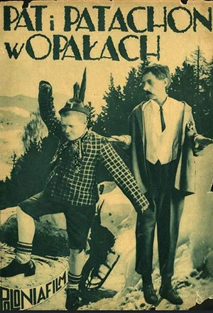 Постер: Schwiegersöhne