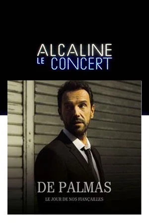 Постер: Gérald de Palmas - Alcaline le Concert