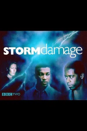 Постер: Storm Damage