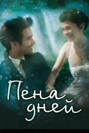 Постер: Пена дней