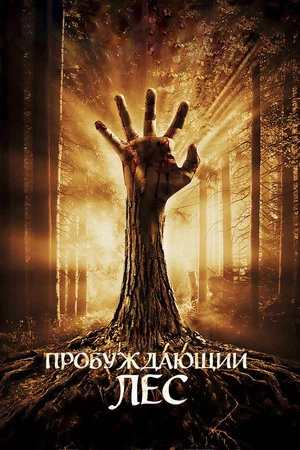 Постер: Пробуждающий лес